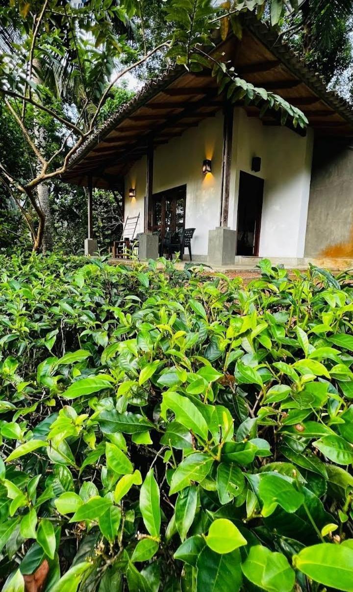 Leisure Land Bed & Breakfast Galle Room photo