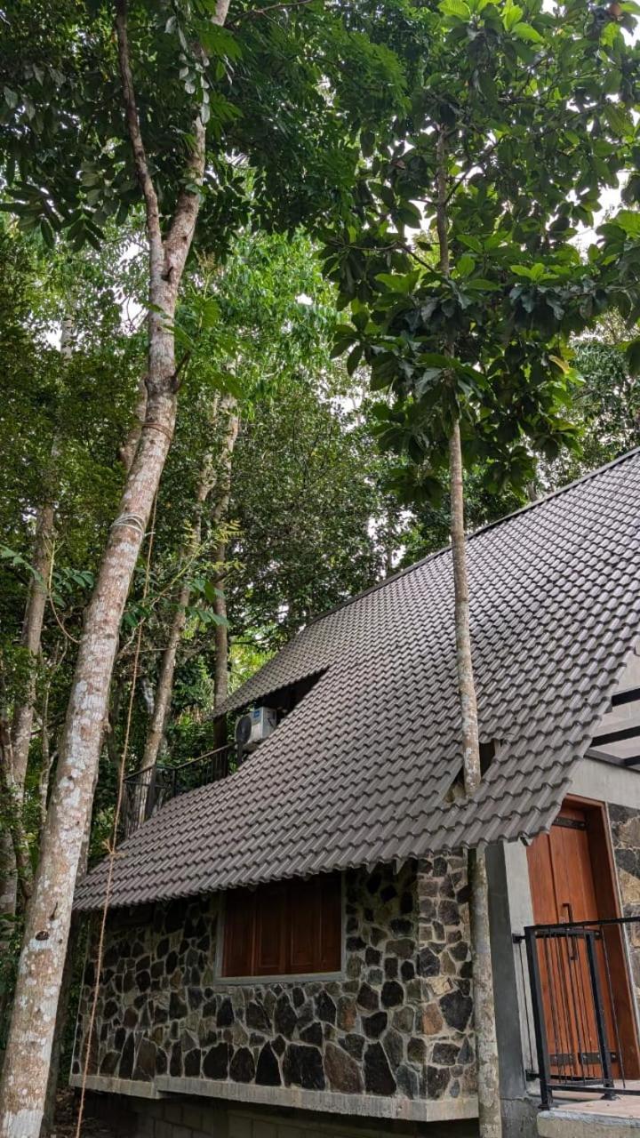 Leisure Land Bed & Breakfast Galle Room photo